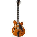 Fret King FKV3JE John Etheridge