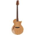 ESP LTD TL-6 NAT