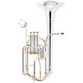 Besson BE2050-2 Prestige Alto Horn S