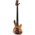 Sandberg Panther 5 Maple Burl