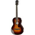 Fender PM-2 DLX Parlor SBST