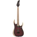 Ibanez RGDIX6MRW-CBF Iron Label