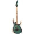 Ibanez RGDIX7MPB-SBB Iron Label