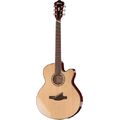 Ibanez AELFF10-NT Multiscale