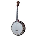 Deering Artisan Goodtime Two 17 T