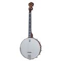 Deering Artisan Goodtime Spec. 17 T OB