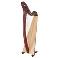 Salvi Donegal Lever Harp 34 Str. MA