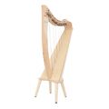 Salvi Juno Lever Harp 25 Str. NA