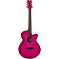Dean Guitars AXS Performer A/E PB