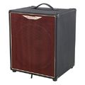Ashdown AAA-120-15T Bass Combo