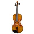 Hidersine Venezia Viola Set 14"