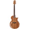 ESP LTD TL-6Z