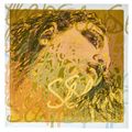 Pirastro Evah Pirazzi Slap D String Syn