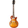 Epiphone LTD Les Paul Std Florentine HB