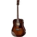 Ibanez AVD10-BVS Artwood Vintage