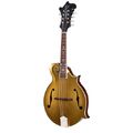 Gibson F-5G Gold Top
