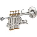 Kühnl & Hoyer Piccolo Silver