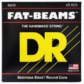 DR Strings Fat Beam Stainless 045/100