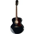 Epiphone EJ-200 Artist Limited Ed. TB