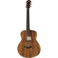 Taylor GS Mini-e Koa