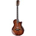 Taylor T5z-12 Custom