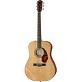 Fender PM-1 Limited Adirondack MH