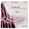 Bow Brand Burgundy 5th C Gut Str. No.31