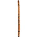 Meinl DDG1-BR Didgeridoo