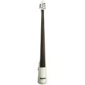NS Design WAV5-DB-BW Double Bass