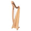 Salvi Donegal Lever Harp 34 Str. NM
