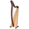Salvi Donegal Lever Harp 34 Str. WN
