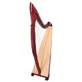 Salvi Egan Lever Harp 38 Str. MA