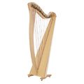Salvi Gaia Lever Harp 38 Str. NM