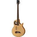 Warwick Alien 5