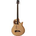 Warwick Alien 4 fretless