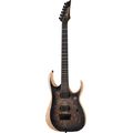 Ibanez RGDIX6PB-SKB Iron Label