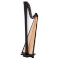 Salvi Hermes Lever Harp 40 Str. EB
