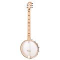 Deering Goodtime 6 Banjo 12" Jumbo LH