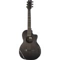 Rainsong CH-PA1000NS Parlor