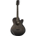Rainsong CH-WS1000NS Concert