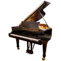 Steinway & Sons O-180 PTD