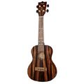Flight Concert DUC460 Amara
