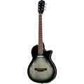 Harley Benton Custom Line Nashville-Steel