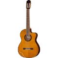 Takamine GC5CE Natur