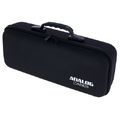 Analog Cases Pulse Case Neutron/K2/Pro-1