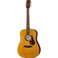 Framus FD 14 SV Dreadnought LS