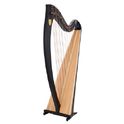 Lyon &amp; Healy Ogden Lever Harp 34 Str. EB