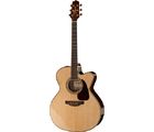 Takamine P5JC