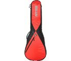 Ritter RGP5 Single Cut Guitar BRR