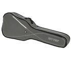 Ritter RGS3 Folk Guitar SGL